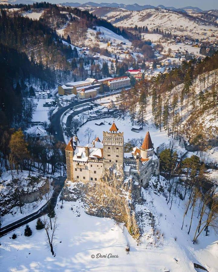 Guest House Piatra Craiului Бран Экстерьер фото
