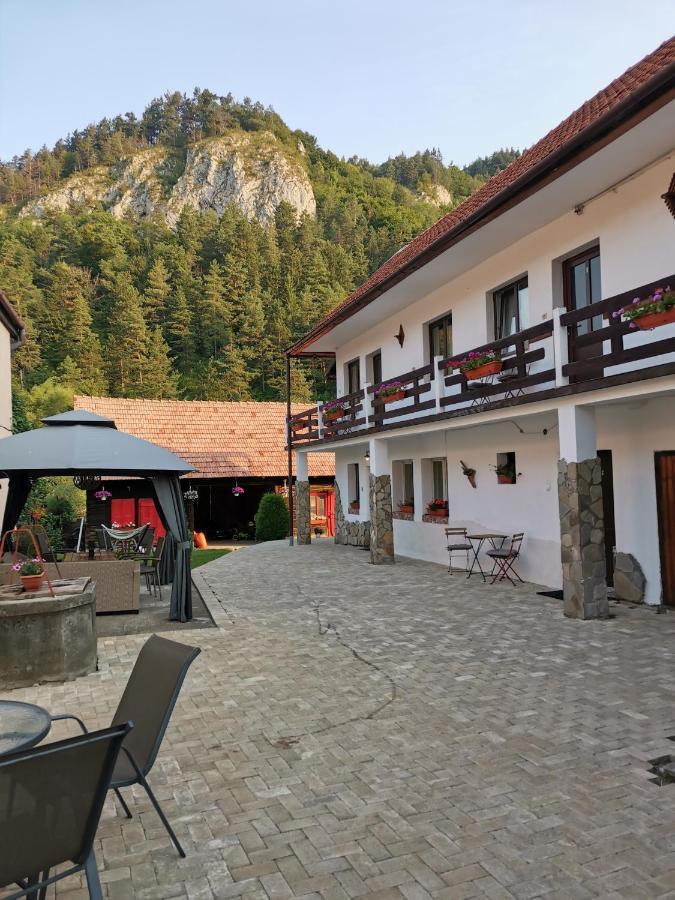 Guest House Piatra Craiului Бран Экстерьер фото