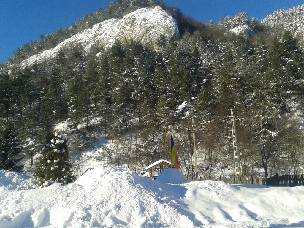 Guest House Piatra Craiului Бран Экстерьер фото