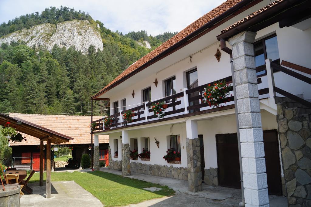 Guest House Piatra Craiului Бран Экстерьер фото