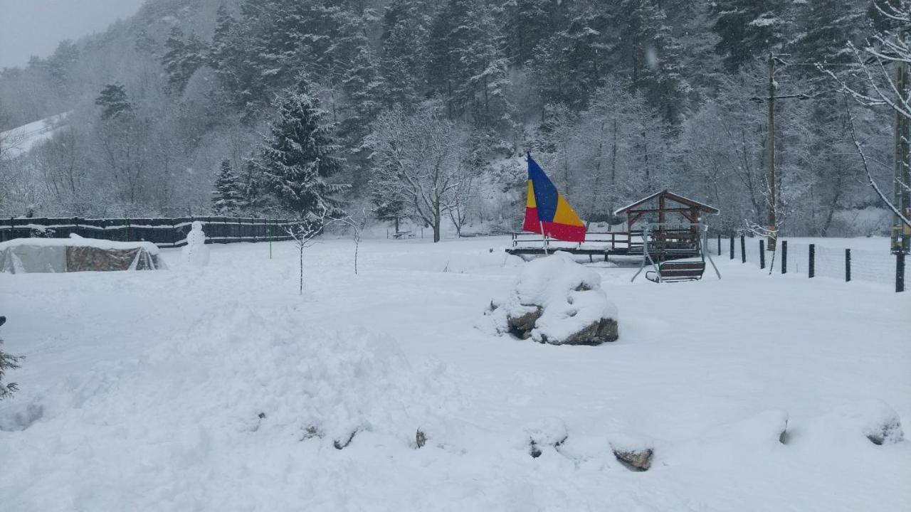 Guest House Piatra Craiului Бран Номер фото